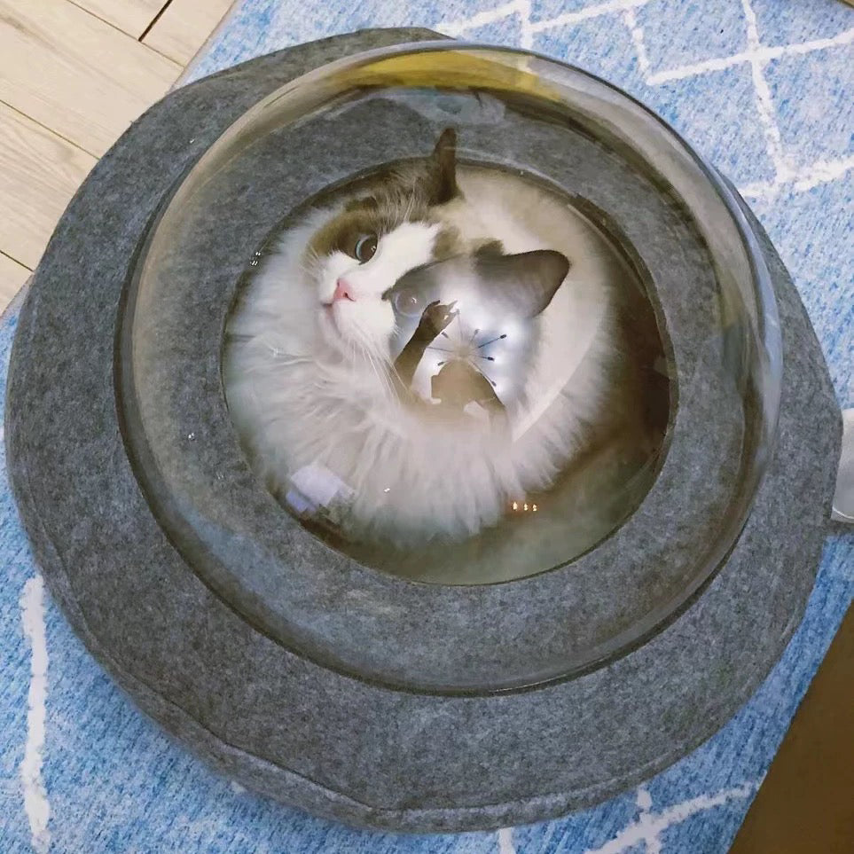 Purroom Cat Space Capsule Bed