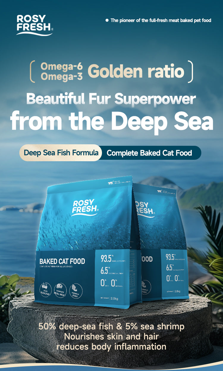 Rosy Fresh Ocean Fish & Chicken Recipe Baked All Life Stage Cat Dry Food - 2 kg/Bag