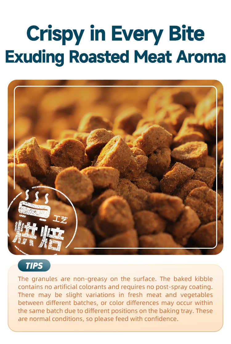 Rosy Fresh Chicken & Duck Recipe Baked Kitten Food - 1 kg/Bag