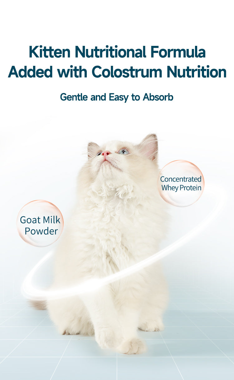 Rosy Fresh Chicken & Duck Recipe Baked Kitten Food - 1 kg/Bag