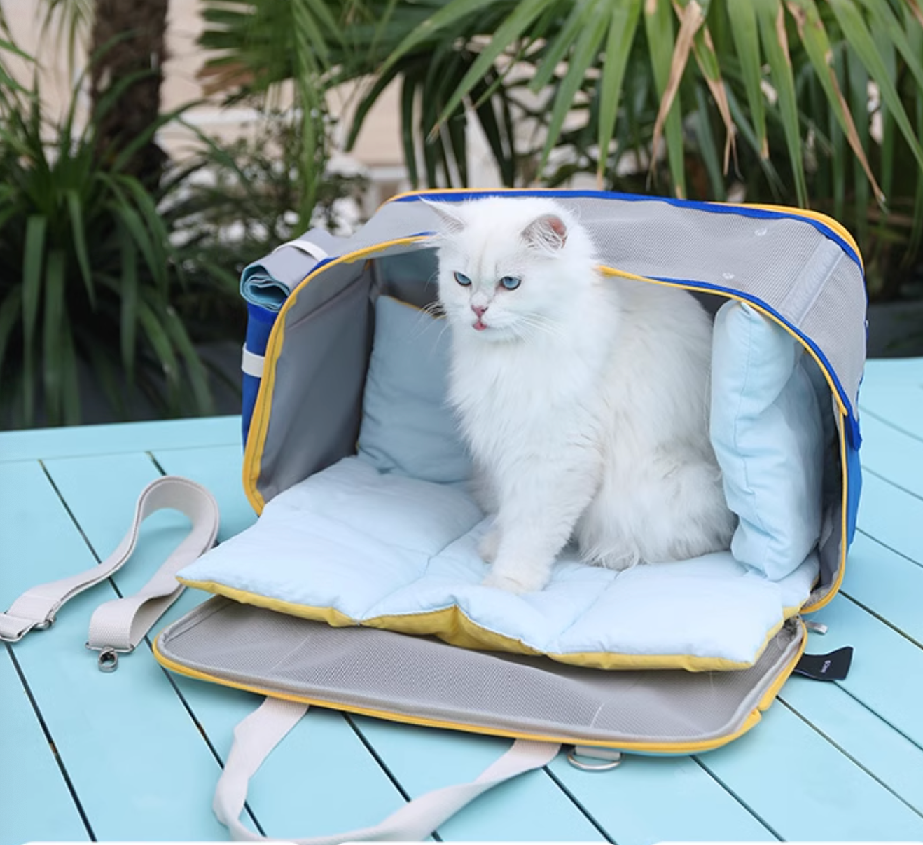 Hoopet Muti-Functional Large Capacity Pet Carrier