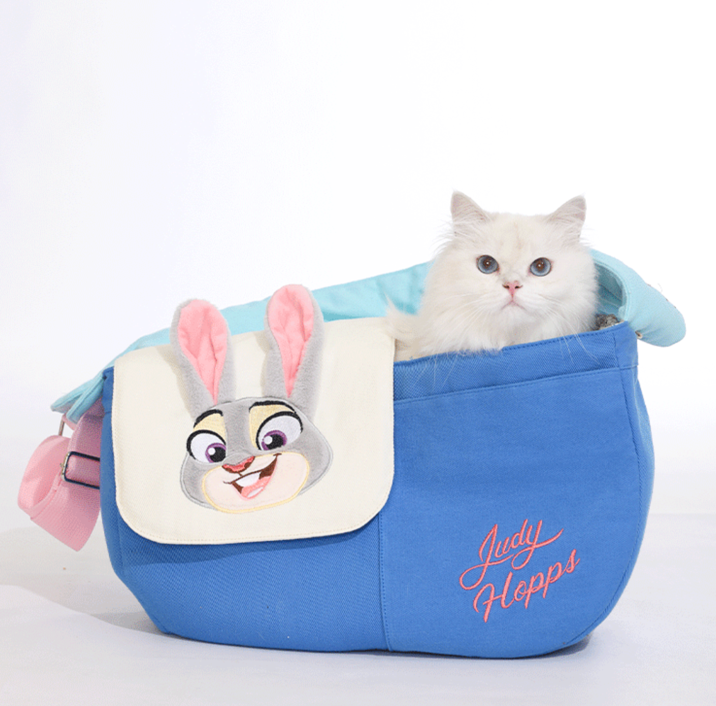 Hoopet Judy Pet Travel Bag