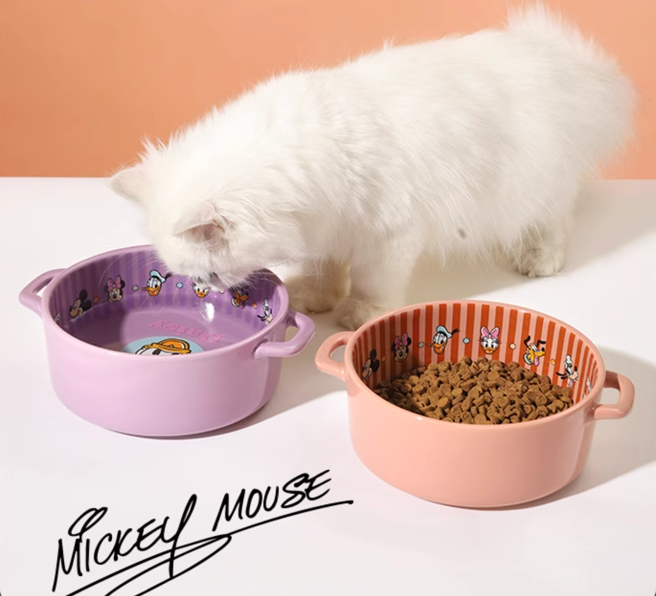 Hoopet Ceramic Pet Bowl - 6 Patterns