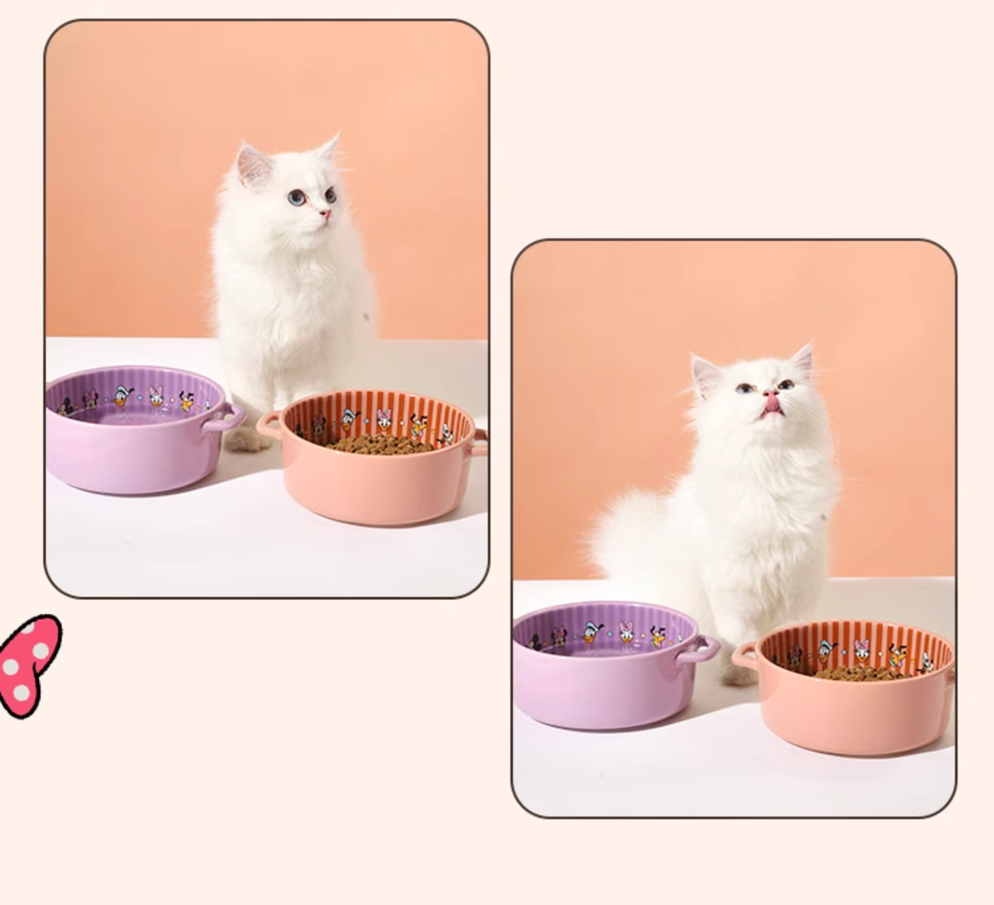 Hoopet Ceramic Pet Bowl - 6 Patterns