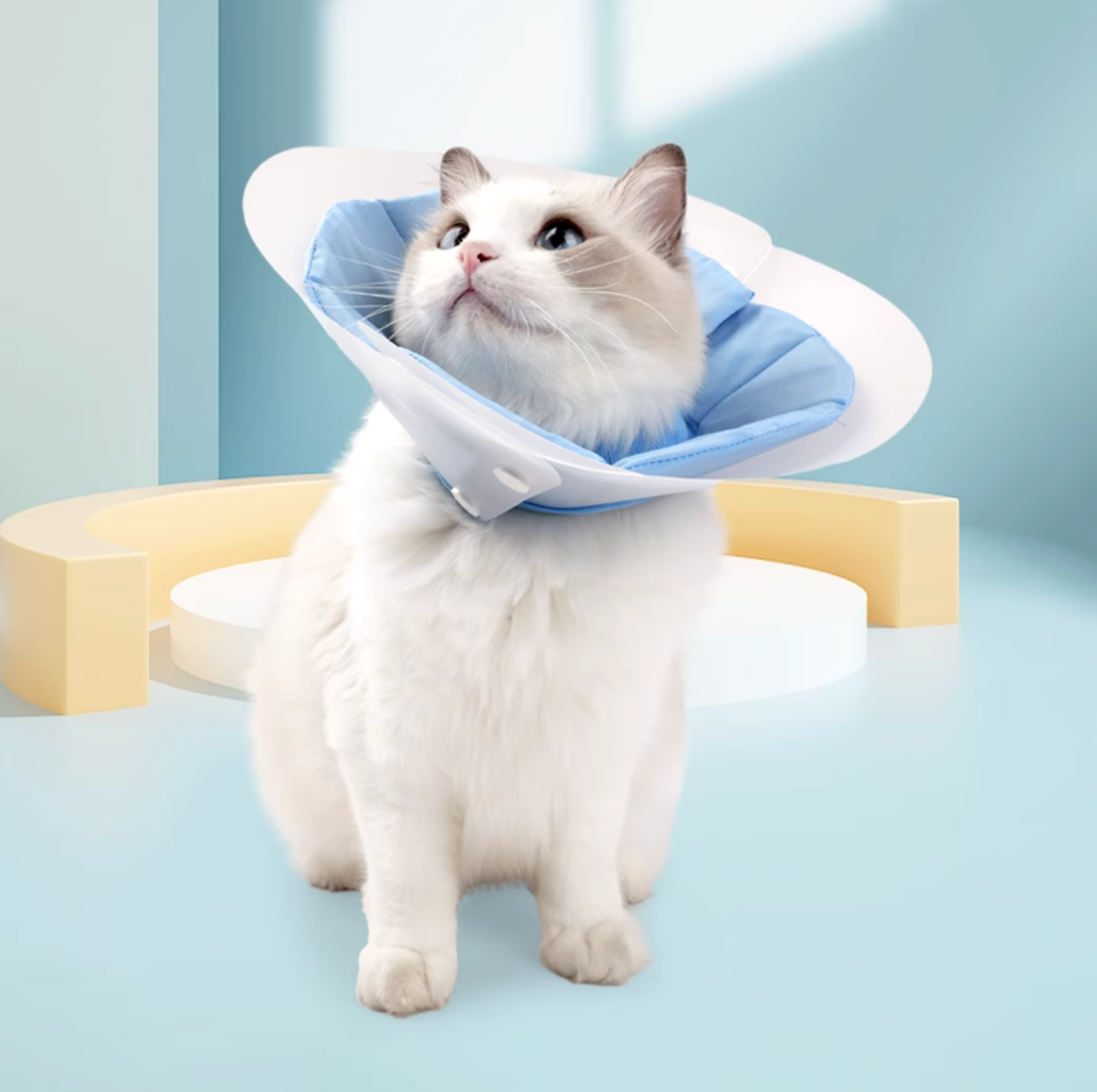 Doton Dual-Layer Design E-Collar For Cat