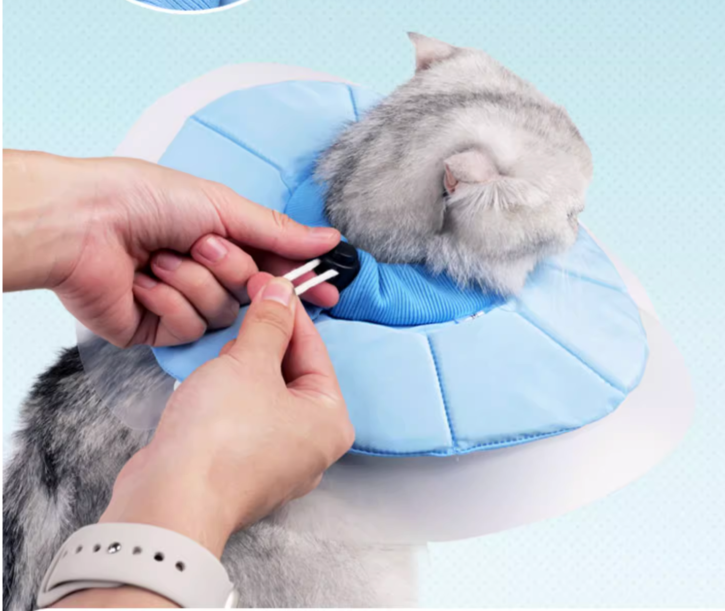 Doton Dual-Layer Design E-Collar For Cat