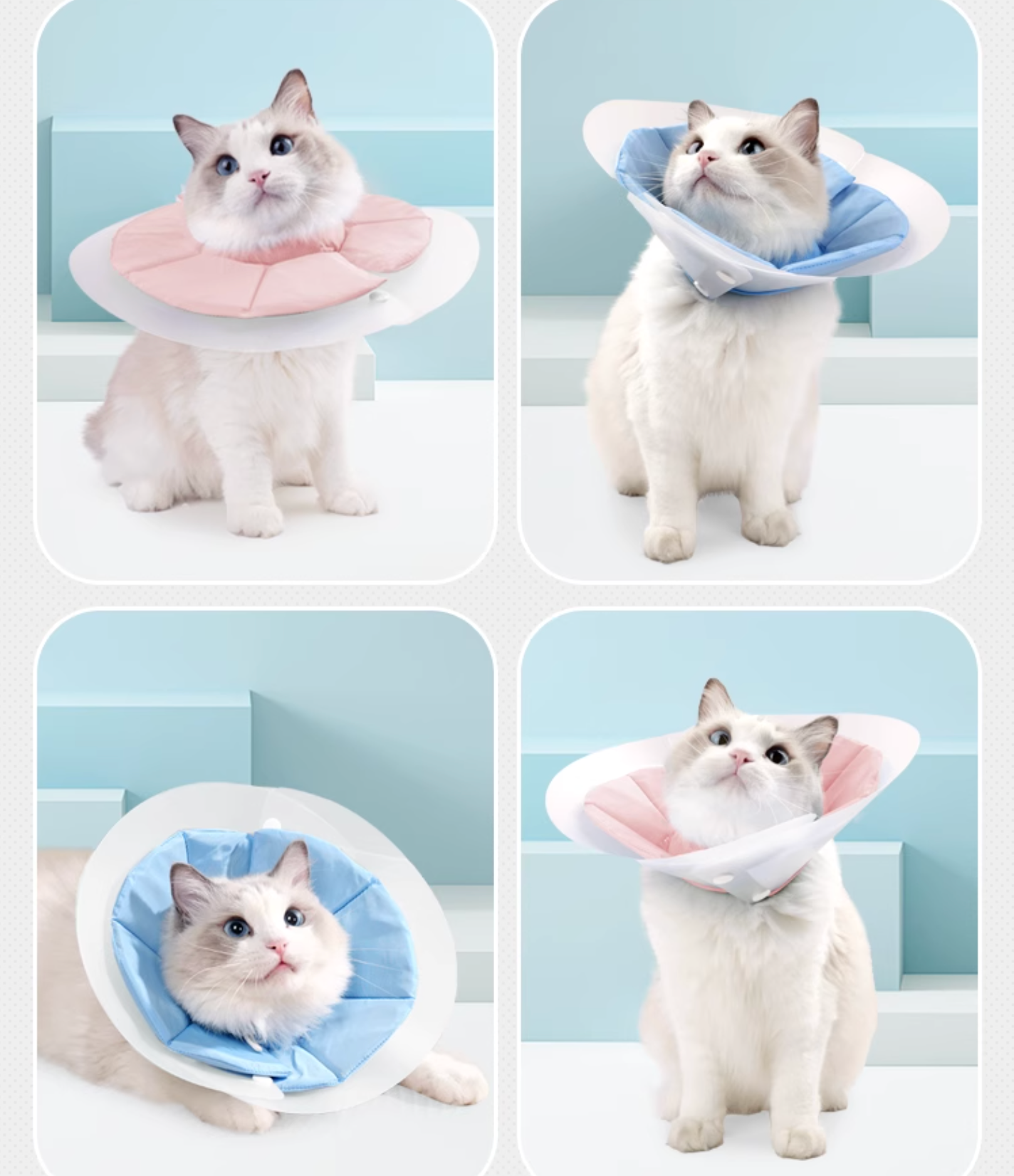 Doton Dual-Layer Design E-Collar For Cat