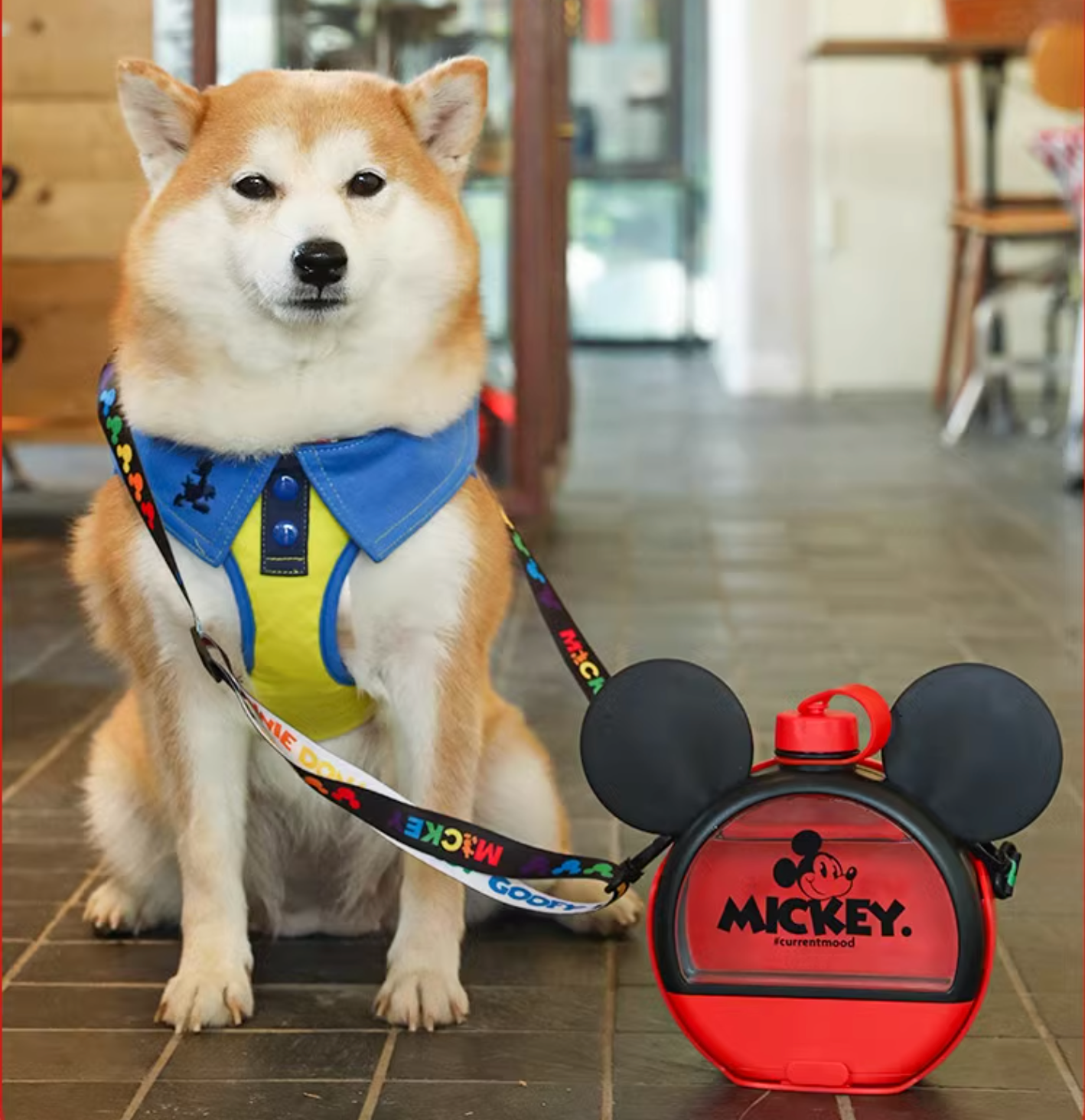 Hoopet Mickey Series Dog Outdoor Water Bottle With Bowl