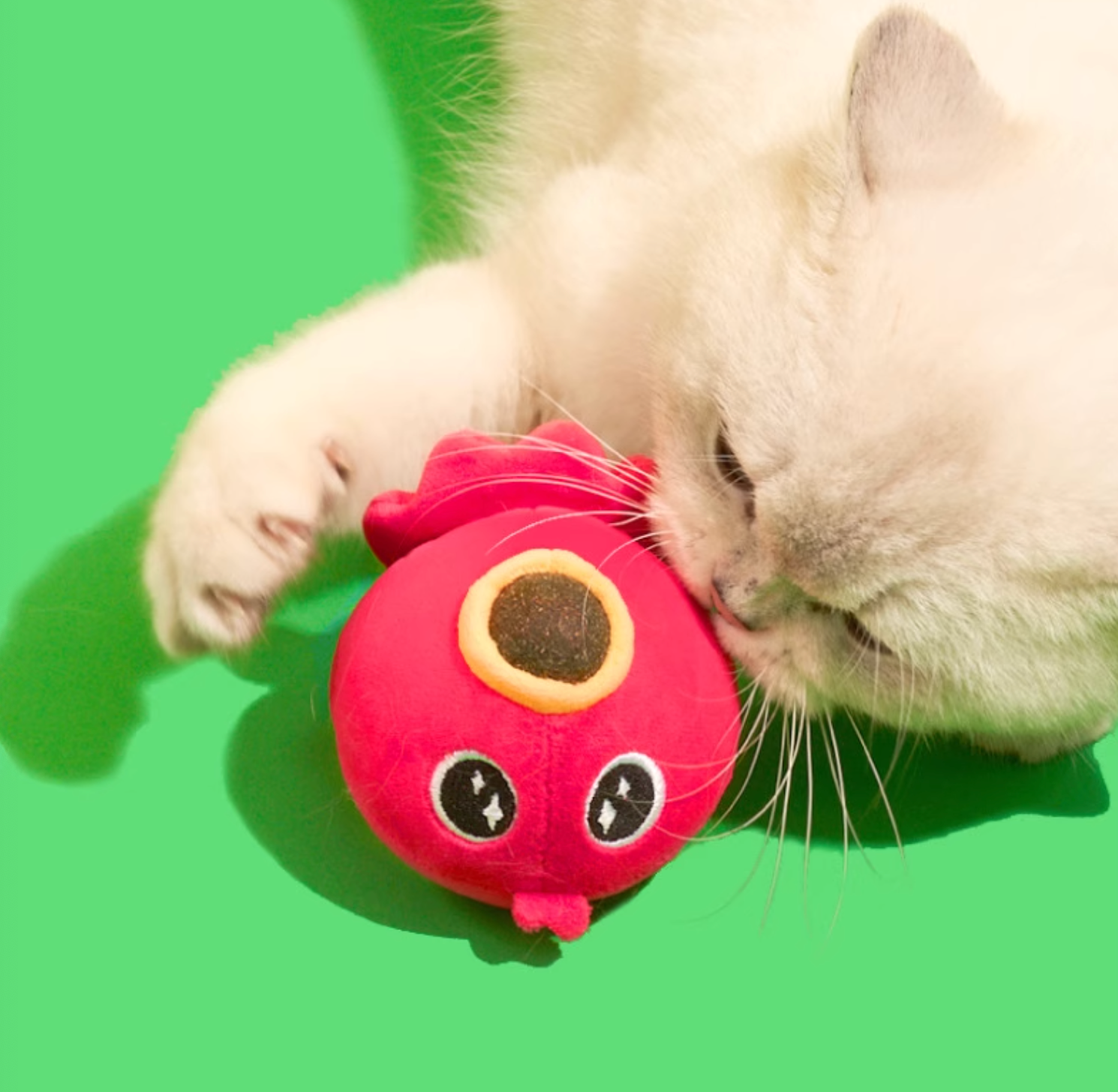 Purlab Takoyaki Ball with Catnip & Silvervine Cat Toy