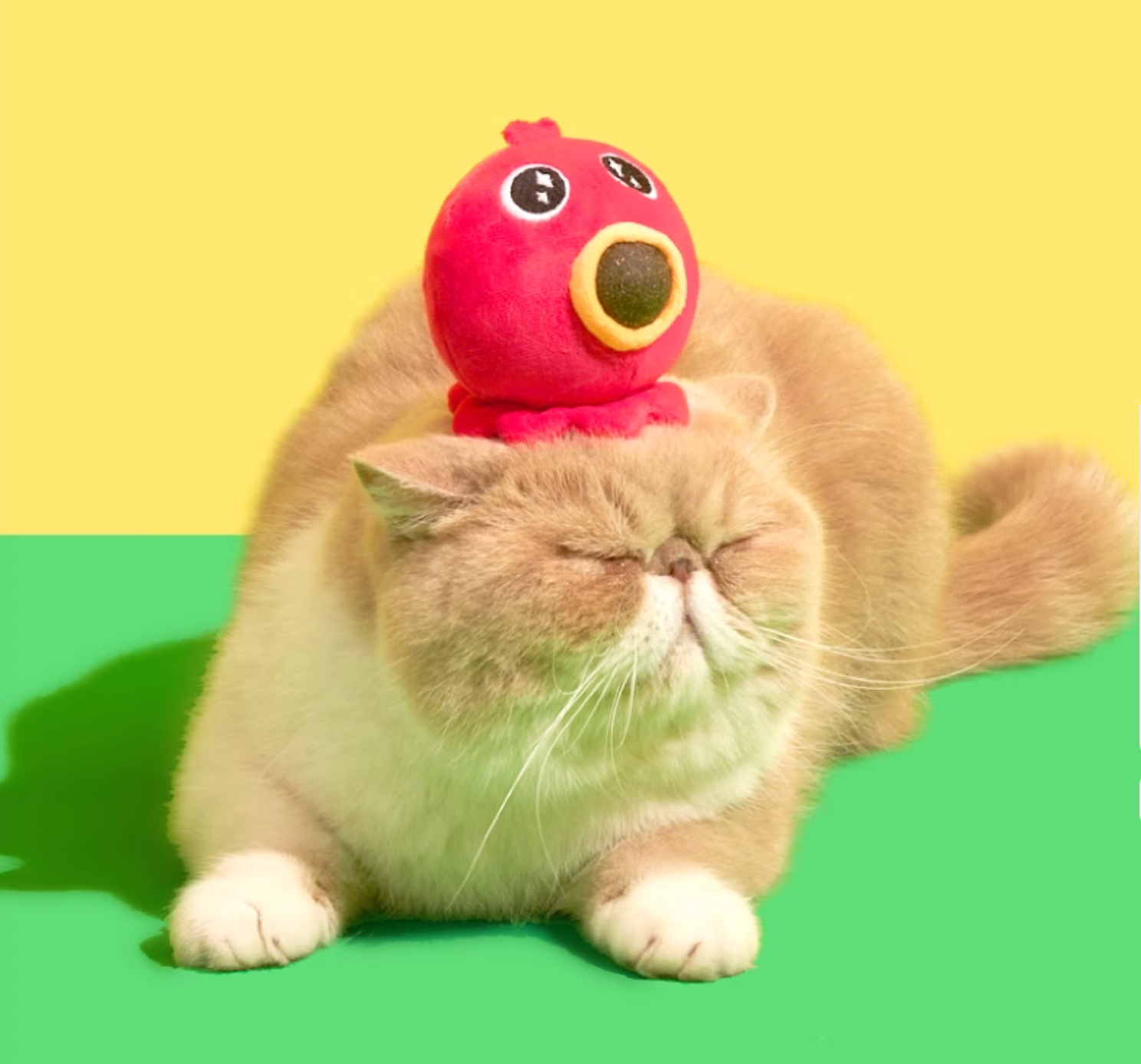 Purlab Takoyaki Ball with Catnip & Silvervine Cat Toy