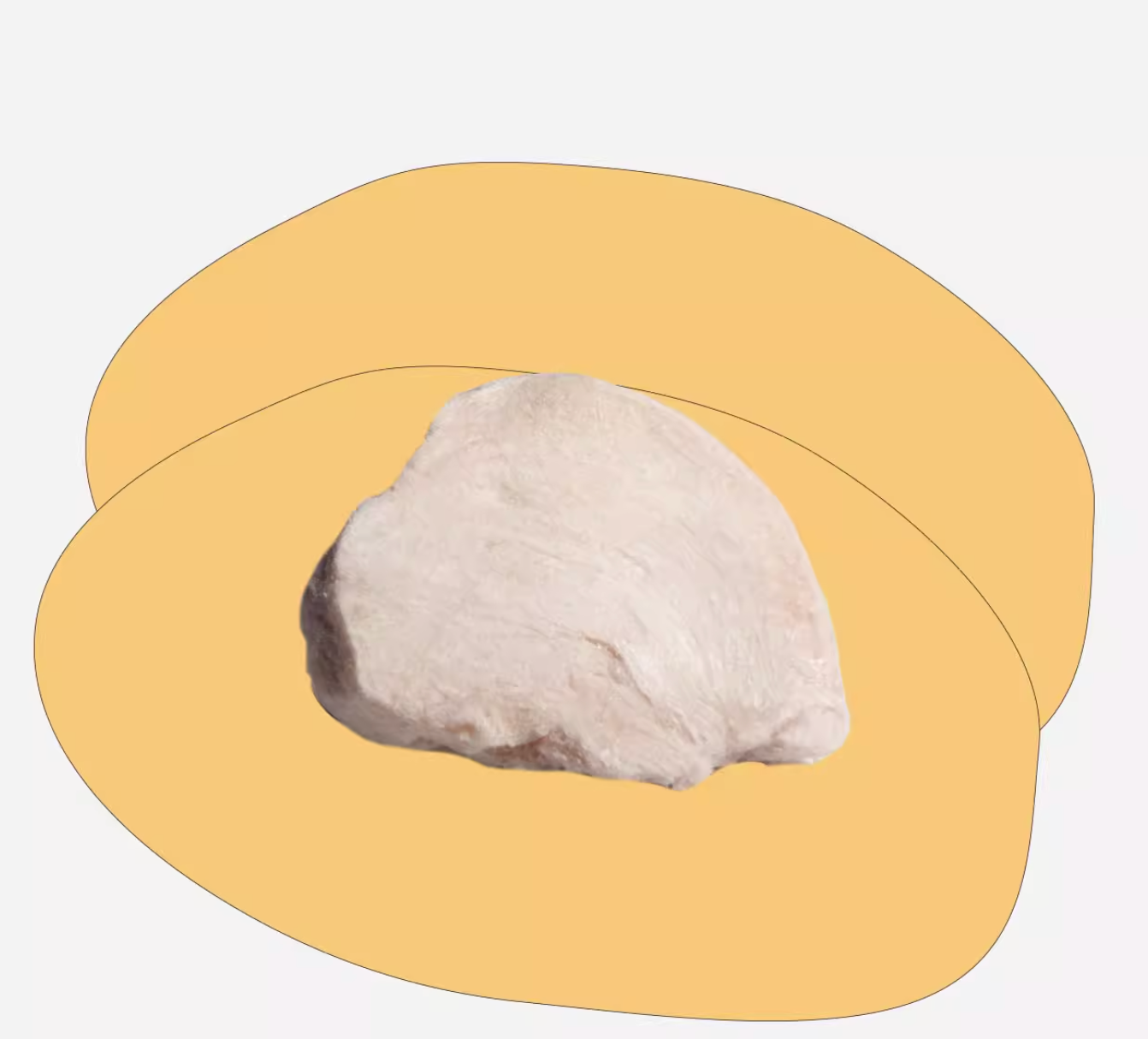 CarniFierce Freeze Dried Chicken Breast For Dog & Cat