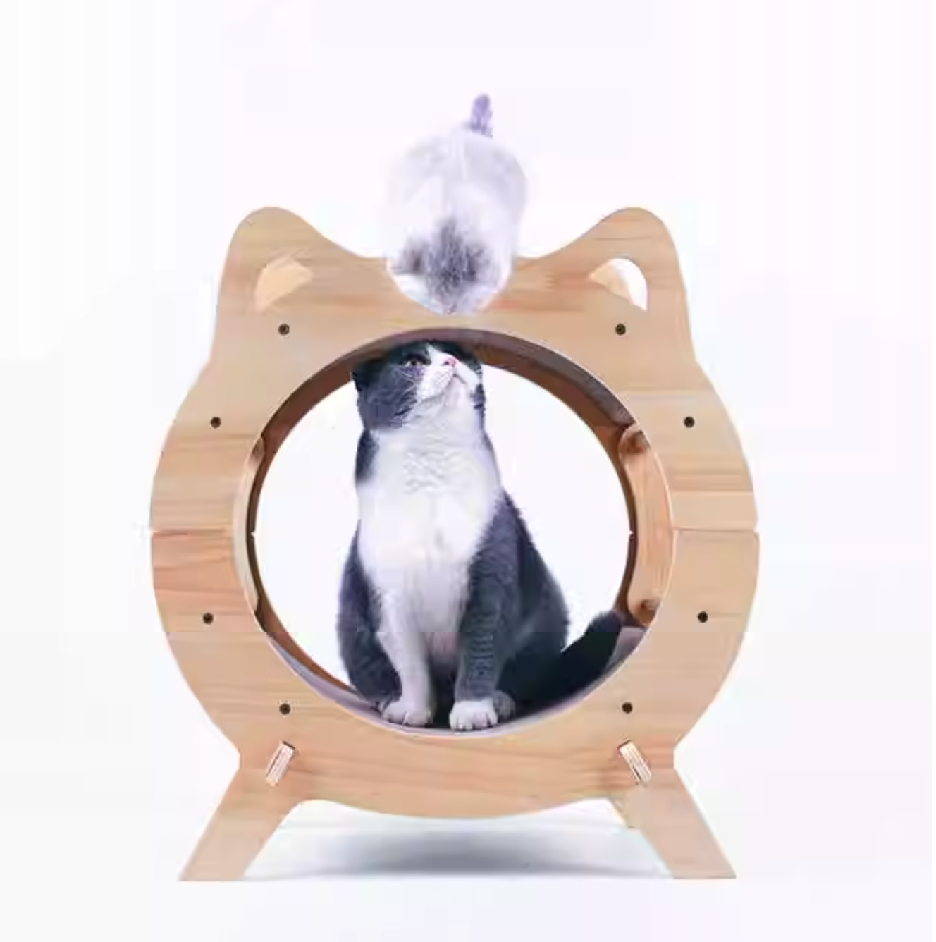 Miaofairy喵仙儿 圆形实木电视机猫抓板猫窝 高品质耐抓猫抓板