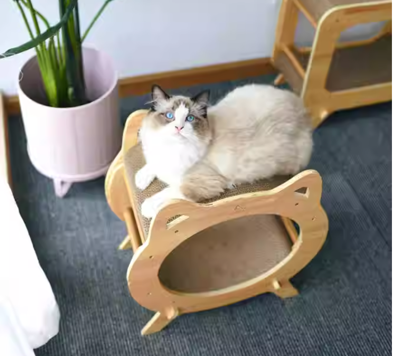 Miaofairy喵仙儿 圆形实木电视机猫抓板猫窝 高品质耐抓猫抓板