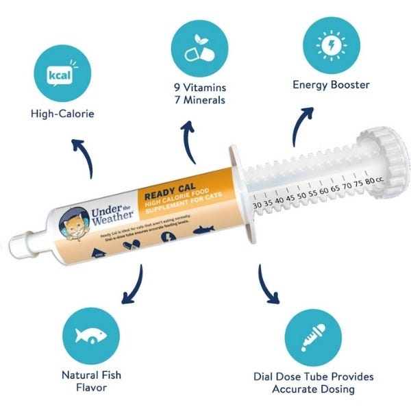 Under the Weather Ready Cal High Calorie Supplement For Cat - 80cc Syringe