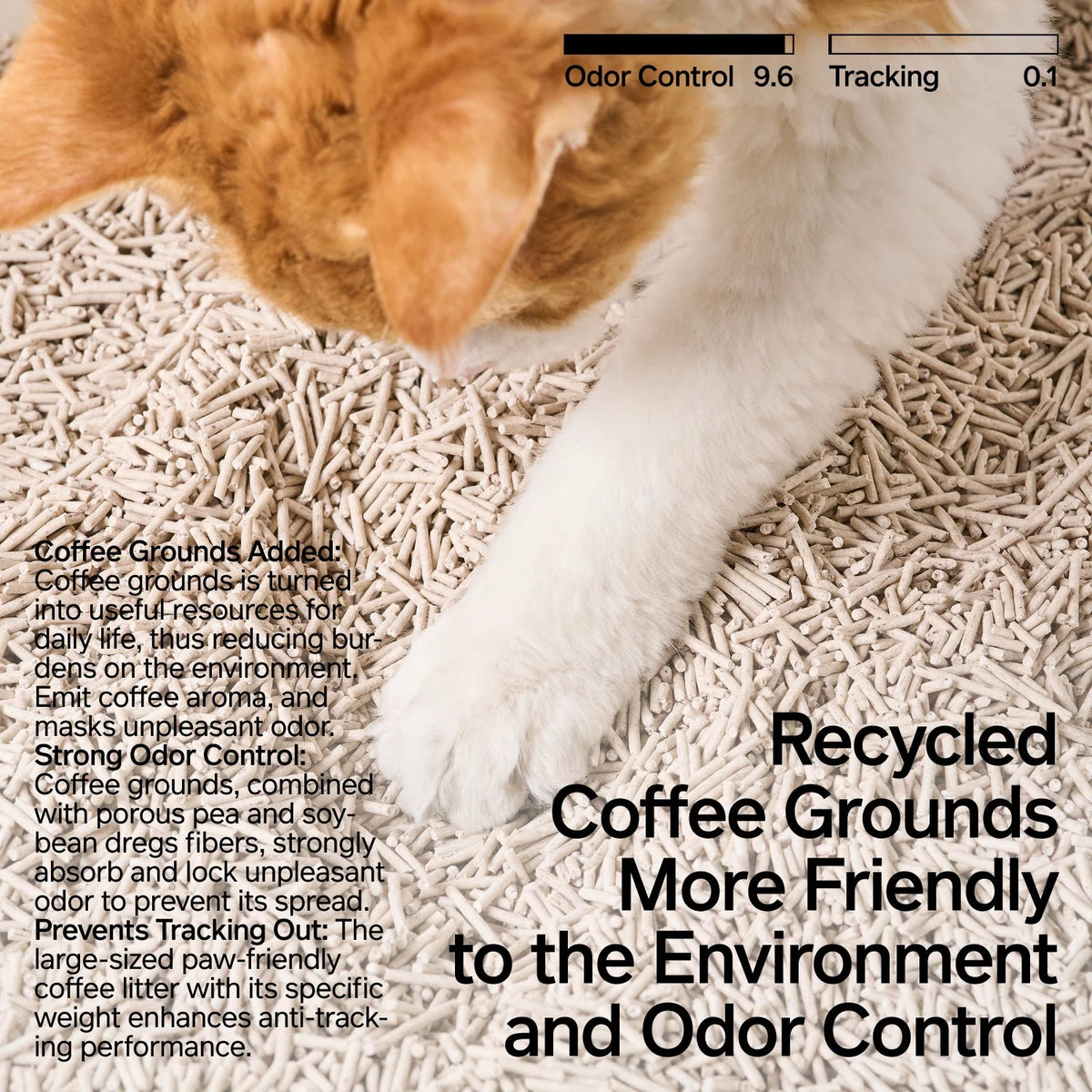 NEW! Pidan Plant-Based Coffee Cat Litter