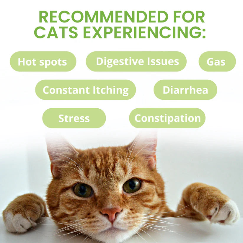 Under the Weather Ready Balance Probiotic For Cat - 103.5g