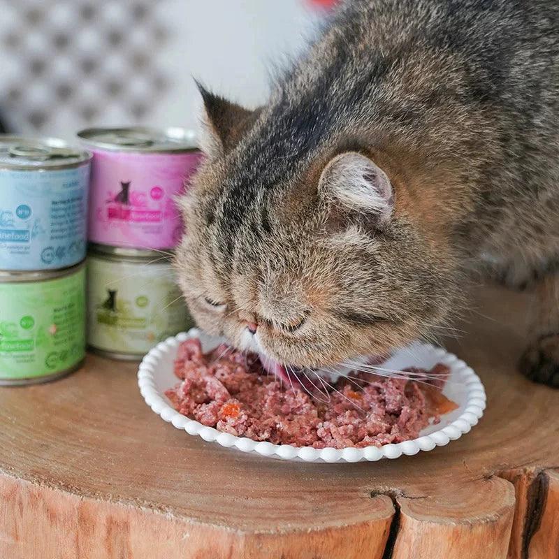 德国Catz凯资 猫咪主食肉罐肉 高含肉量 多口味可选 一套4罐*200g - Maokidspet