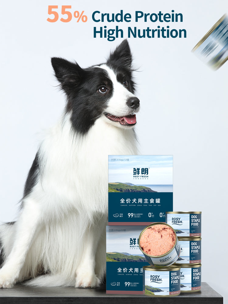 Rosy Fresh Beef Recipe Dog Wet Food - 170g*4cans