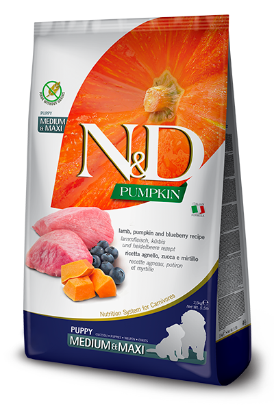 FARMINA PUMPKIN Dog Lamb & Blueberry Med/Maxi - 2.5kg