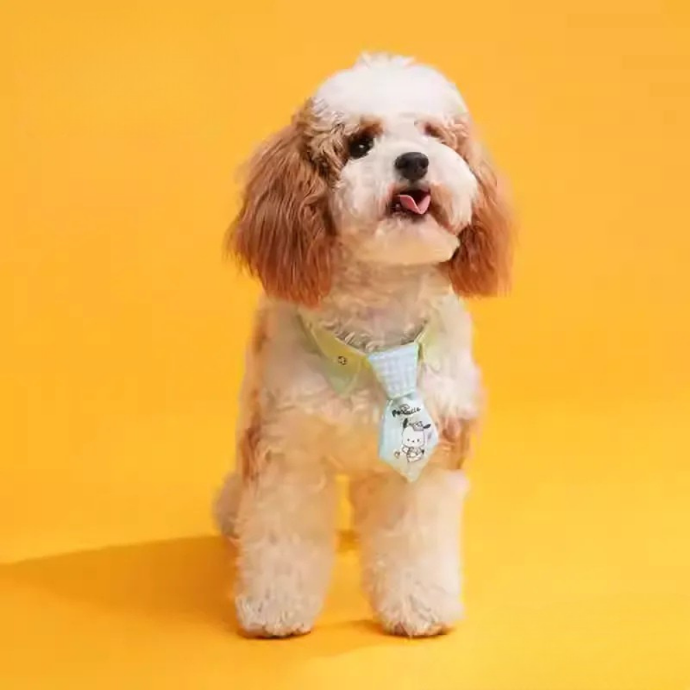 Petpurr Sanrio Pet Bow Tie Collar – Cute Dog & Cat Neck Accessory for Small Pets