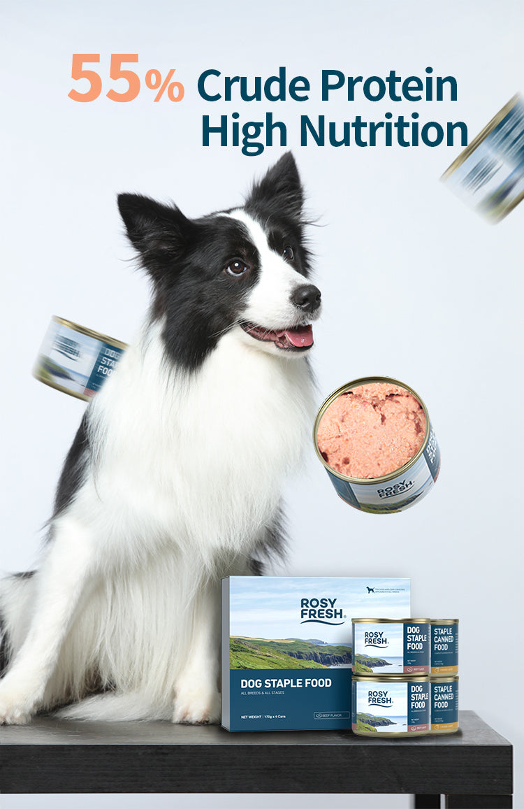 Rosy Fresh Chicken Recipe Dog Wet Food - 170g*4cans
