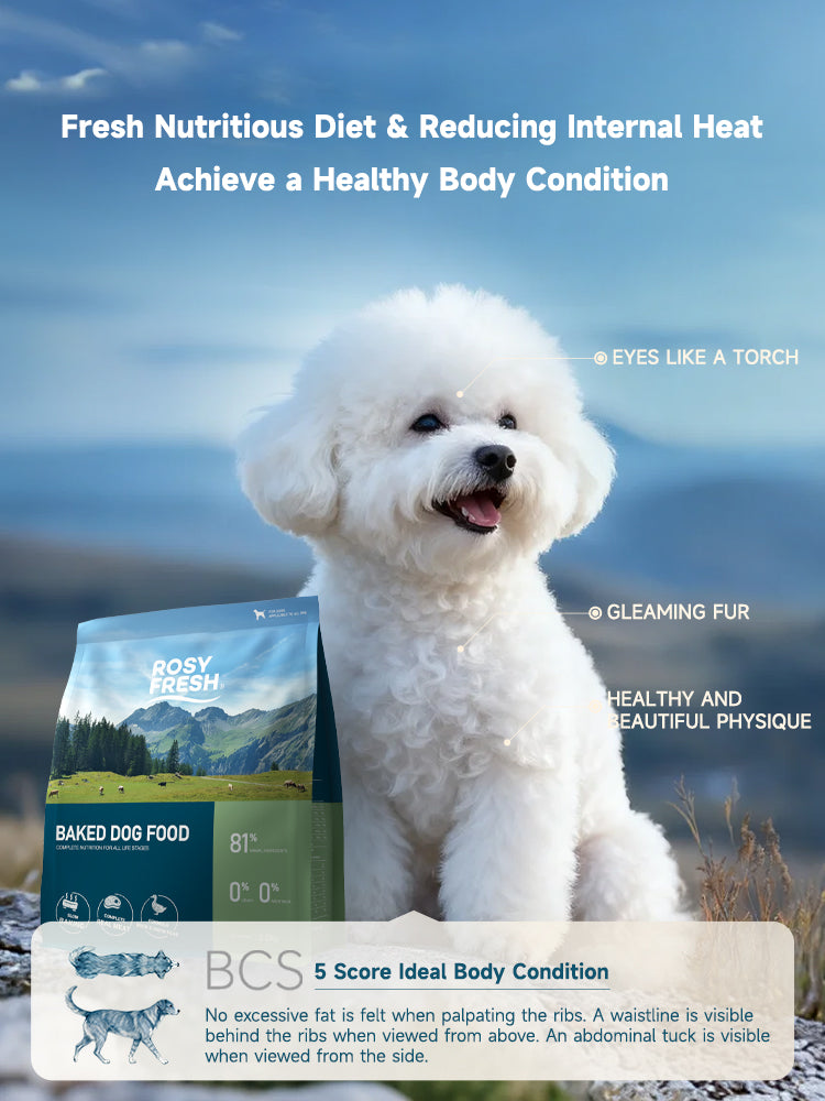 Rosy Fresh Duck & Snow Pear Recipe Baked All Life Stage Dog Dry Food - 2 Sizes
