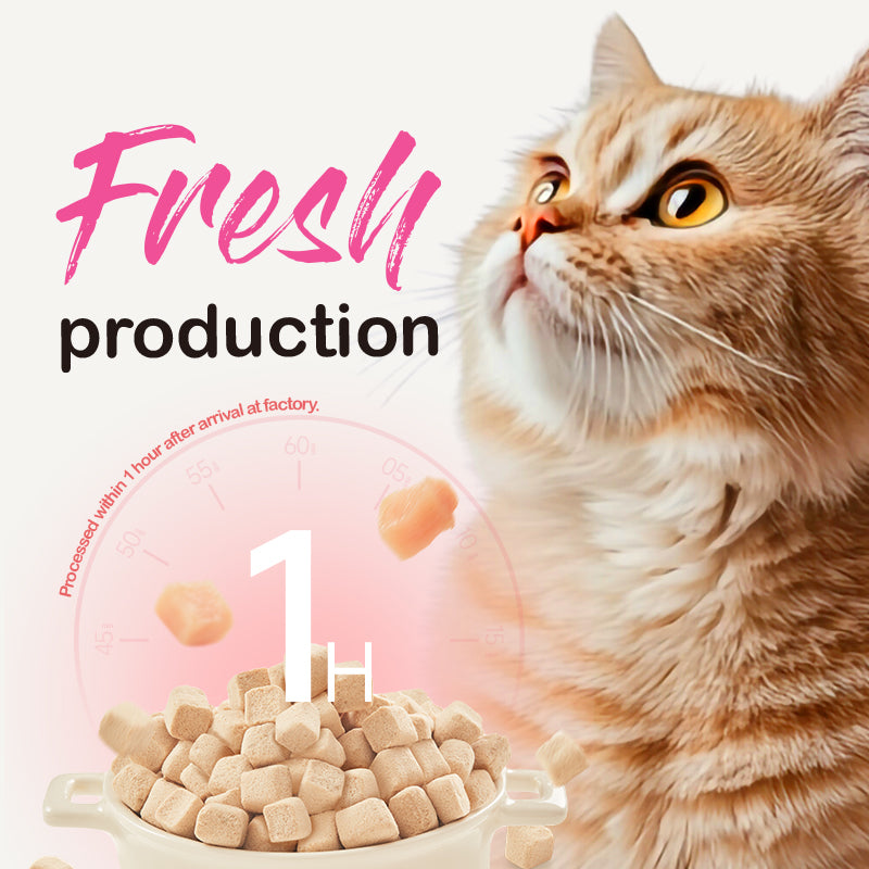 Ranova Premium Freeze-Dried Raw Chicken Cat Food