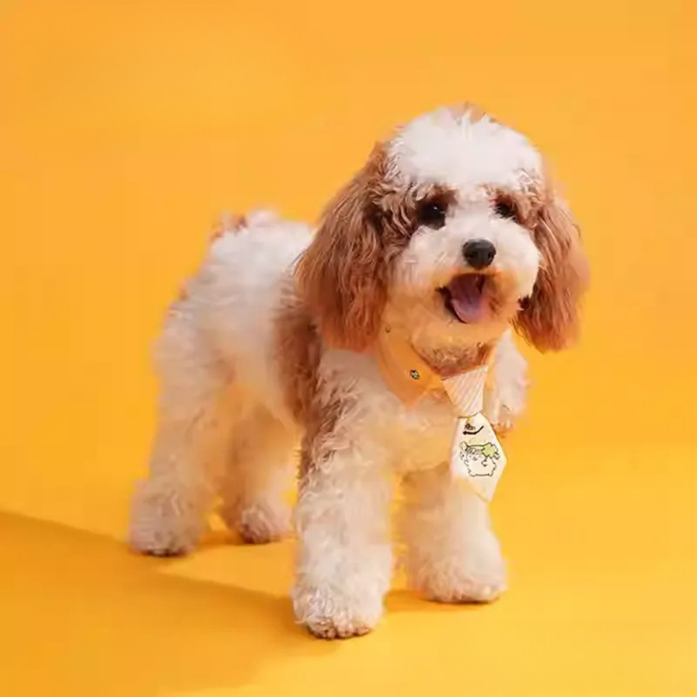 Petpurr 三丽鸥宠物领结项圈 – 可爱的小型宠物（狗狗和猫咪）颈部配饰