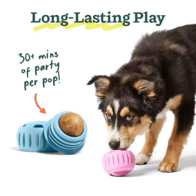 WOOF Birthday Cake Popsicle Refill Pops For Dog Toy - 3 Sizes