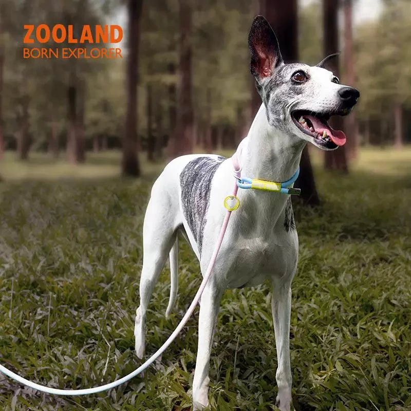 ZOOLAND Adjustable No-Pull Dog P-Leash – Multi-Color