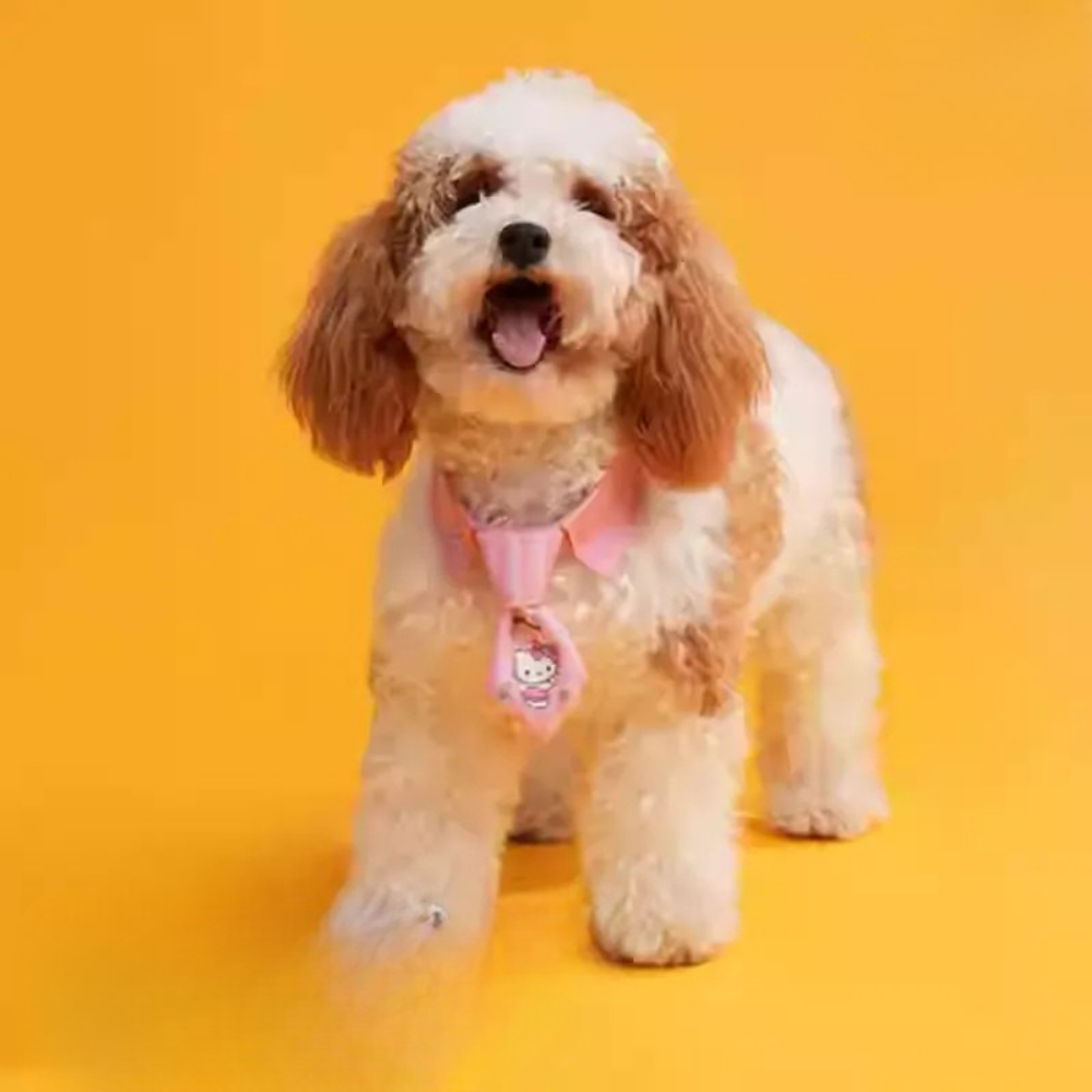 Petpurr 三丽鸥宠物领结项圈 – 可爱的小型宠物（狗狗和猫咪）颈部配饰