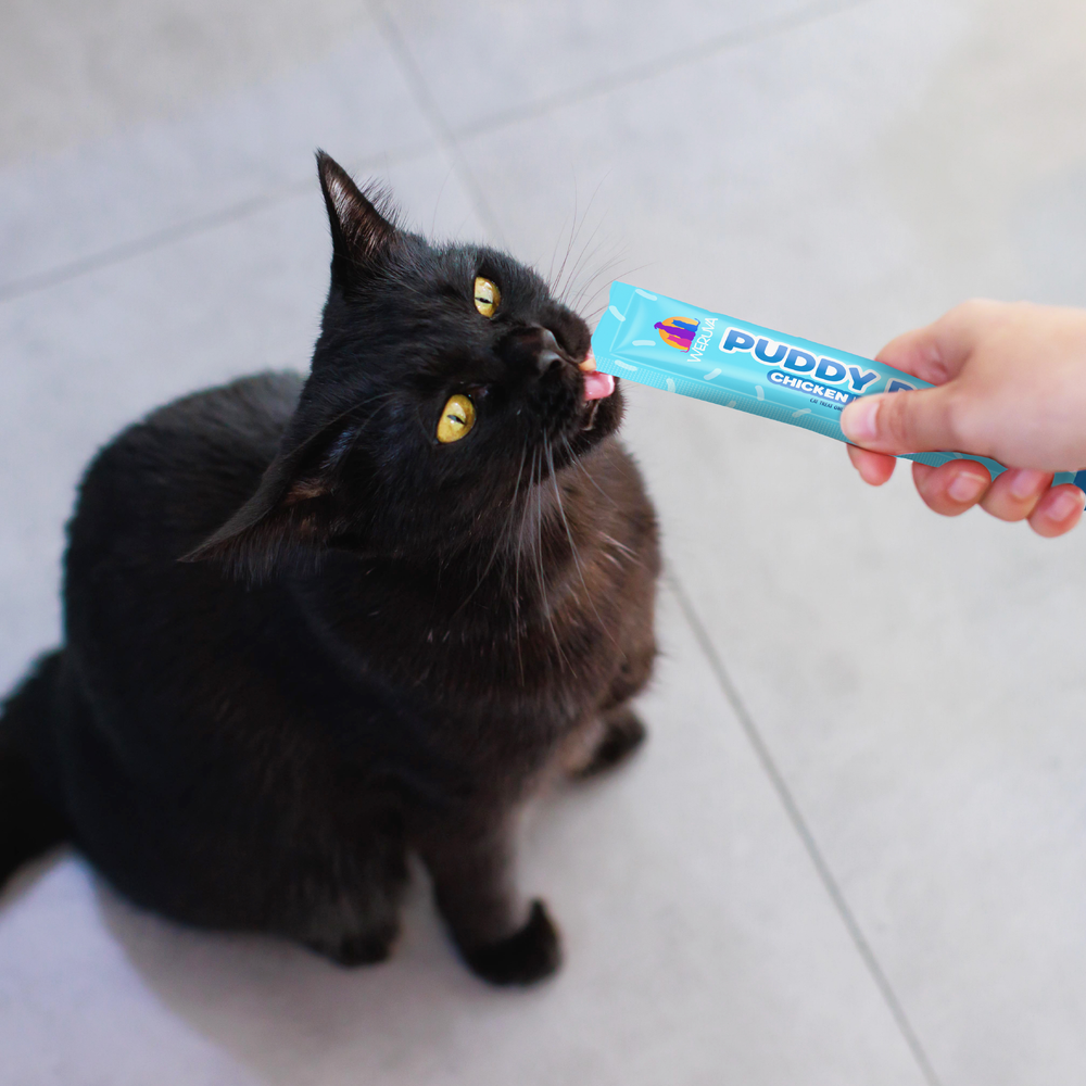 Weruva Cat Puddy Pops - Lickable Chicken & Pumpkin Cat Treat
