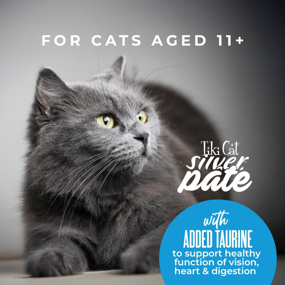 Tiki Cat Silver Pâté Variety Pack Wet Cat Food