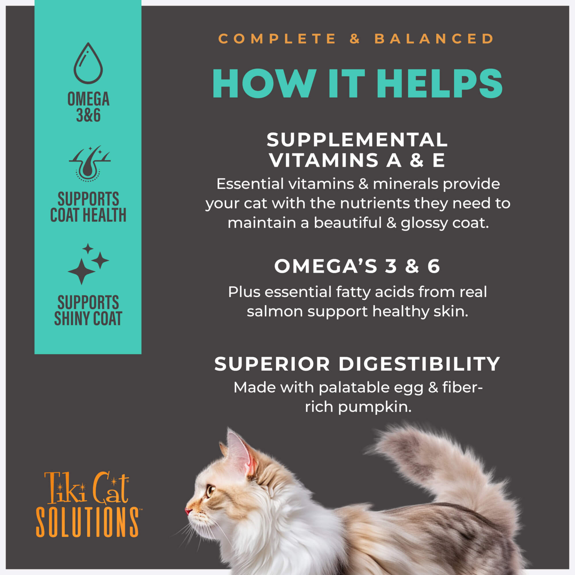 Tiki Cat Solutions™ Skin & Coat Mousse: Salmon Recipe Cat Wet Food