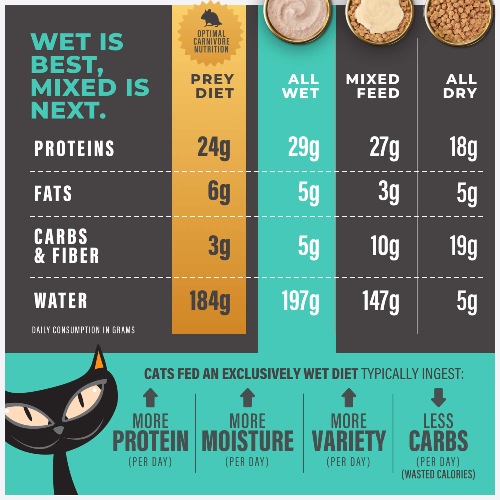 Tiki Cat Solutions™ Skin & Coat Mousse: Salmon Recipe Cat Wet Food