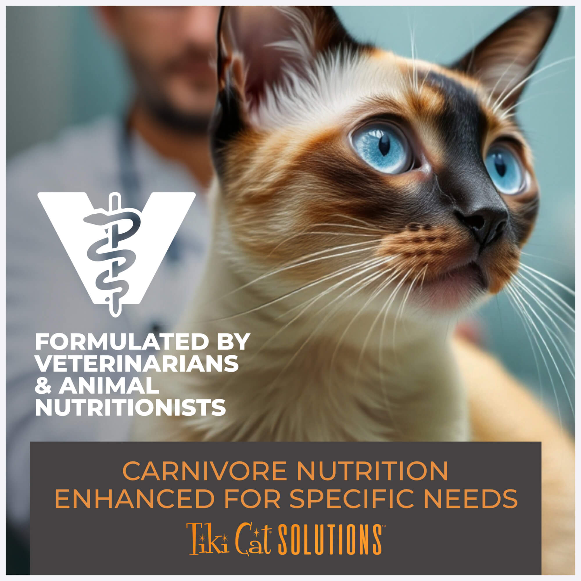 Tiki Cat Solutions™ Mobility Mousse：Chicken & Tuna Recipe Cat Wet Food