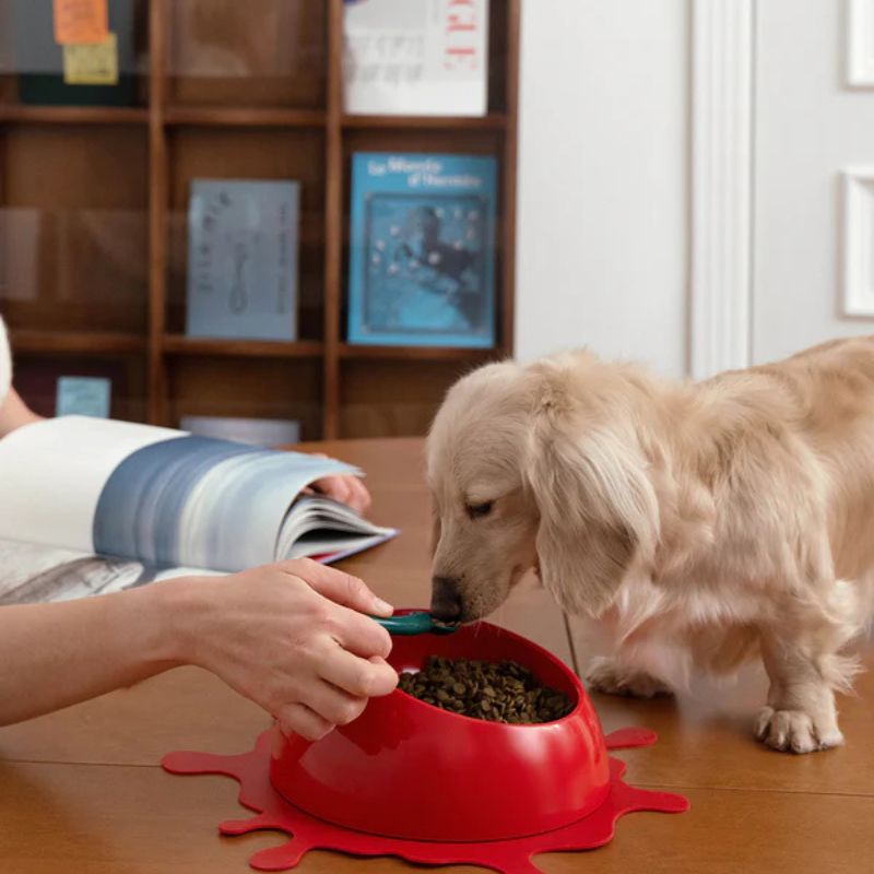 Vetreska Juicy Anti-Spill Pet Bowl, Spoon & Mat Set