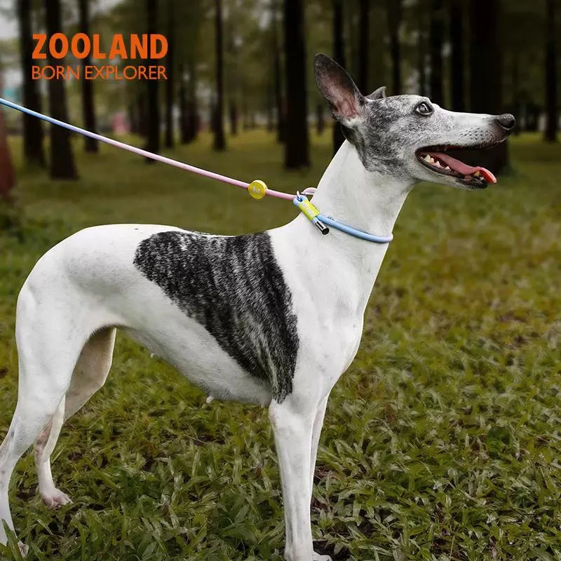 ZOOLAND Adjustable No-Pull Dog P-Leash – Multi-Color