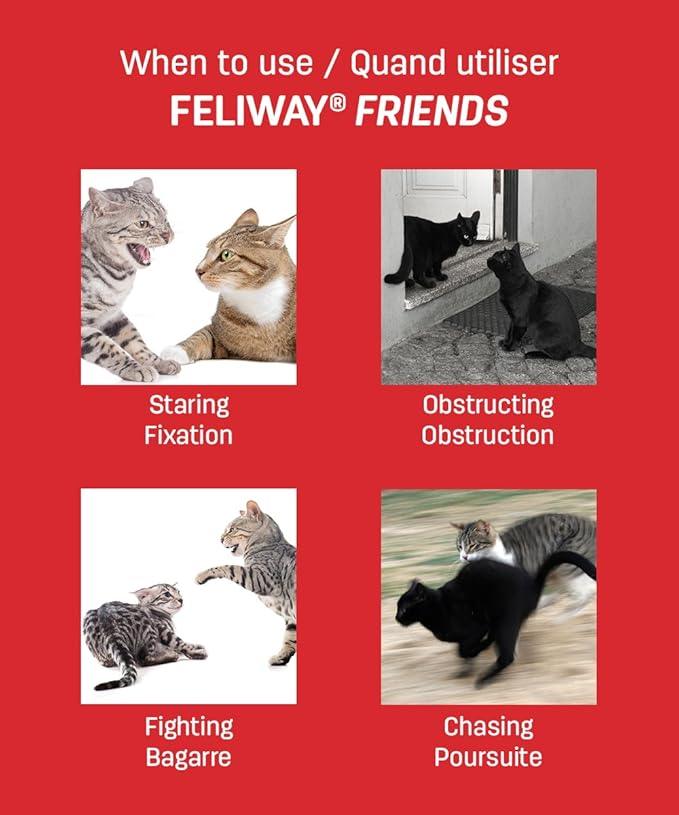 CEVA Feliway Friends 快乐因子 费洛蒙 缓解猫咪应激反应 - Maokidspet