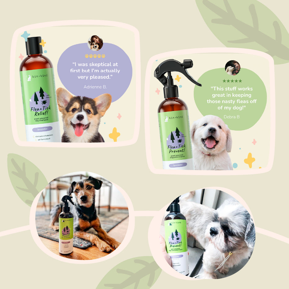 Kin + Kind Outdoor Shield Shampoo For Dog & Cat - Lavender