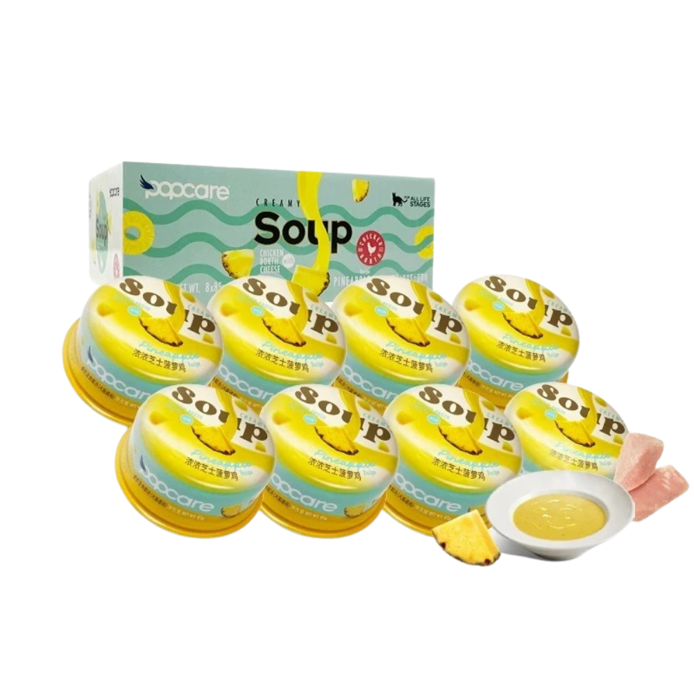 Popcare Chicken Broth with Pineapple & Cheese Cat Creamy Soup