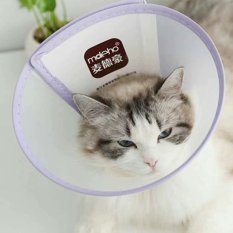 Mdeho E-Collar For Dog and Cat