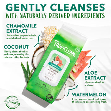 TropiClean Watermelon Dog Wipes For Paws And Butt - 100ct
