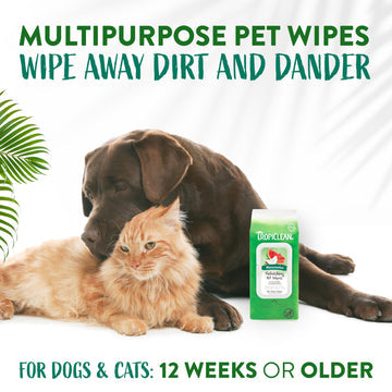 TropiClean Watermelon Dog Wipes For Paws And Butt - 100ct