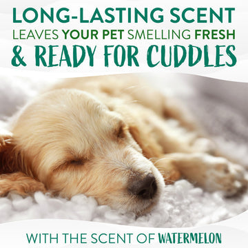 TropiClean Watermelon Dog Wipes For Paws And Butt - 100ct