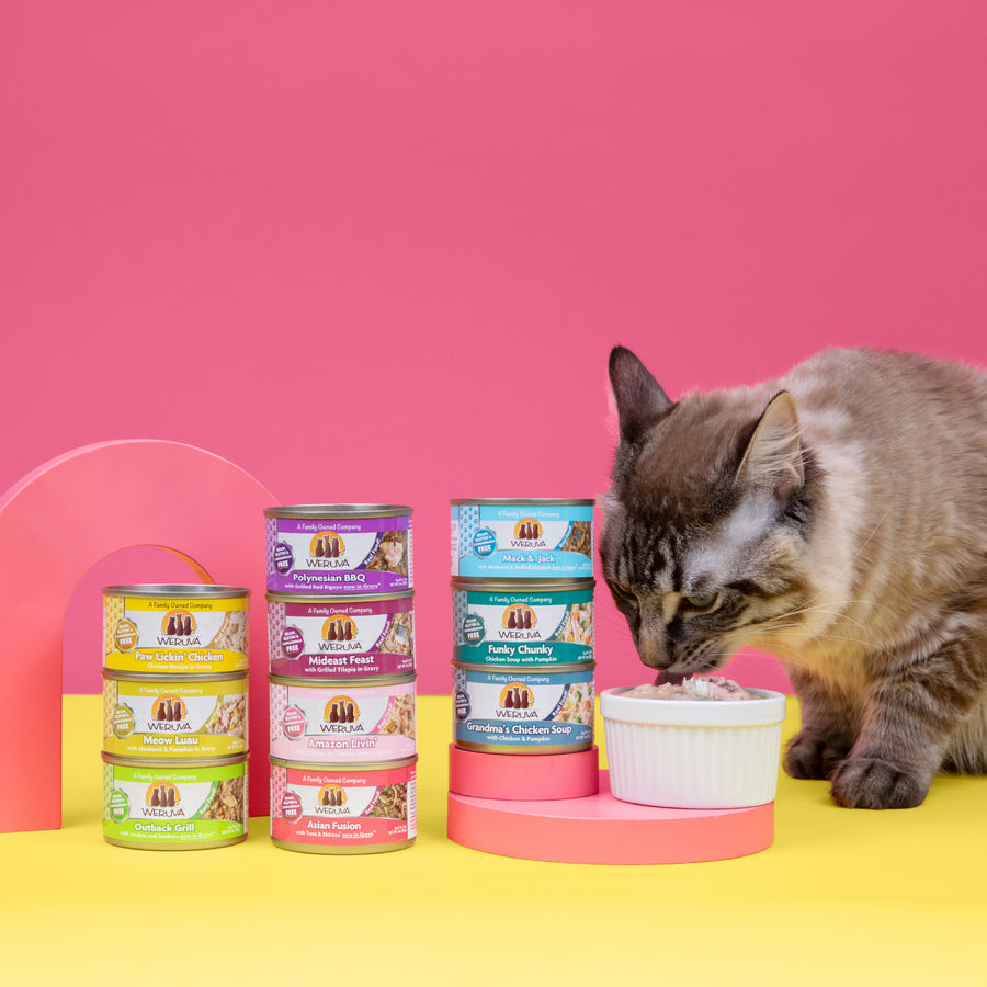 Weruva Classic Cat Amazon Livin' - Chicken & Chicken Liver in Gravy