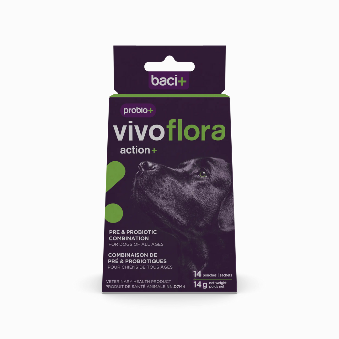 Baci Probio+ Vivoflora Action+ Dog