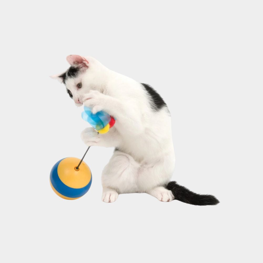 Cat Toys