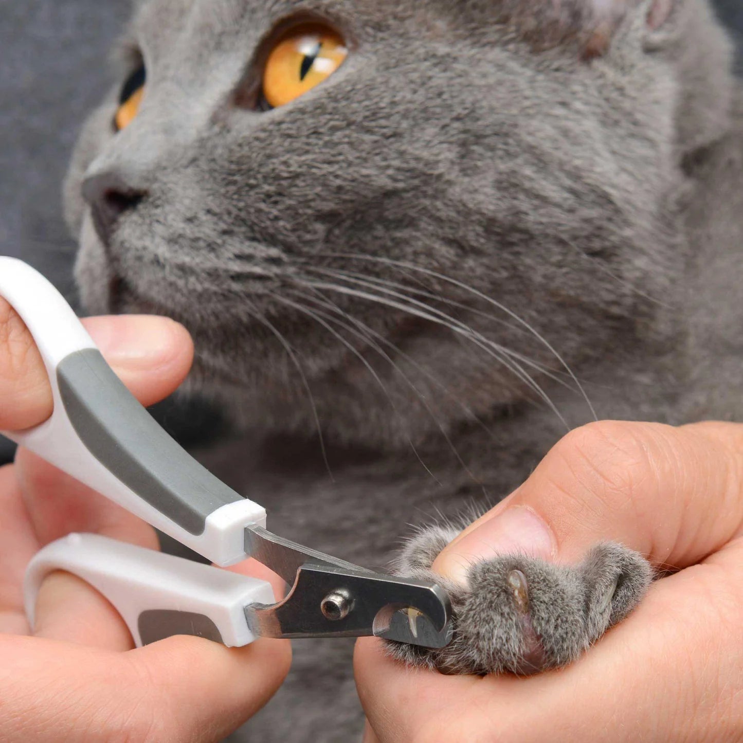 Catit Grooming Kit - For Shorthair Cat