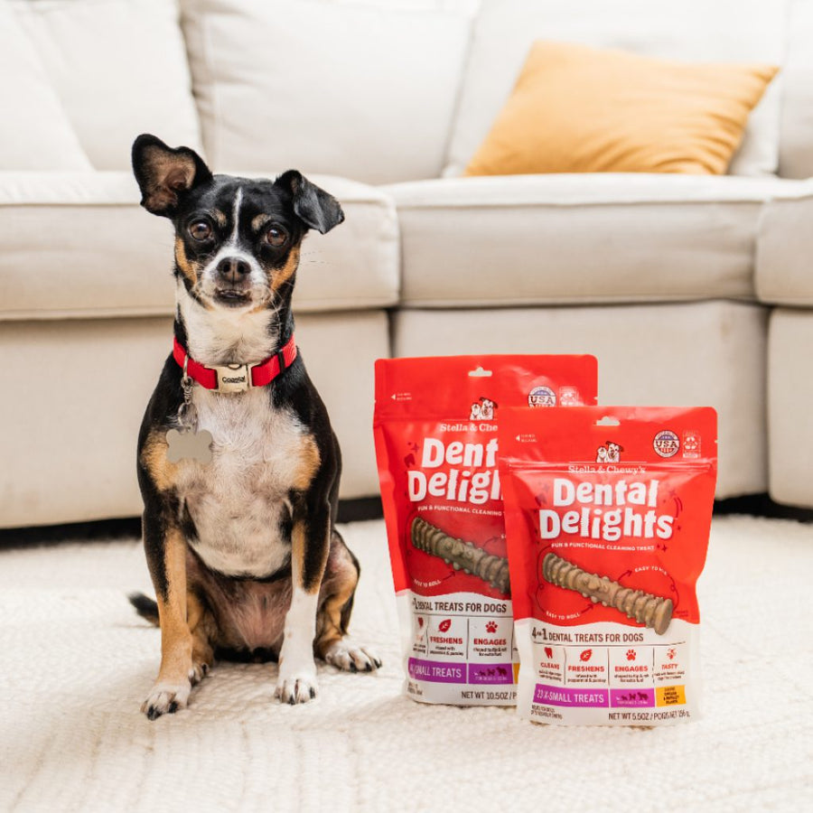 Stella & Chewy's Dental Delights Extra-Small Dog Dental Treats